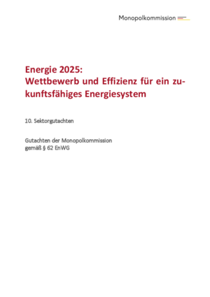 Sektorgutachten Energie 2025